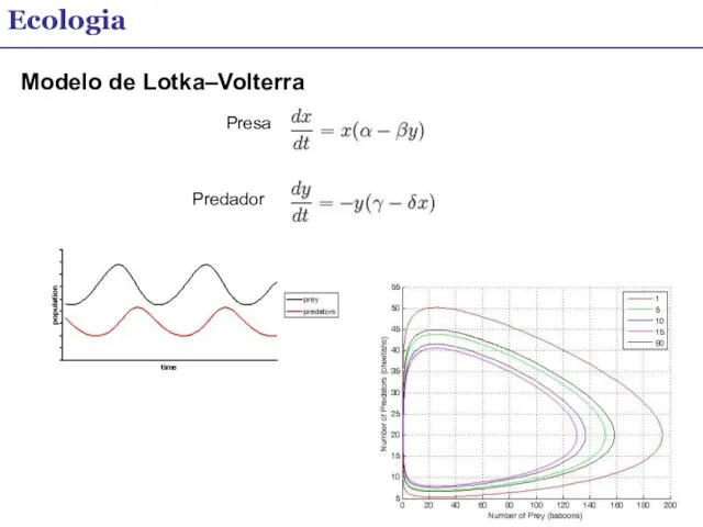 Ecologia Modelo de Lotka–Volterra Presa Predador