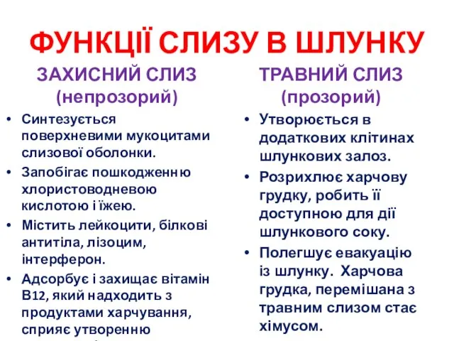 ФУНКЦІЇ СЛИЗУ В ШЛУНКУ ЗАХИСНИЙ СЛИЗ (непрозорий) Синтезується поверхневими мукоцитами слизової