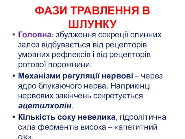 ФАЗИ ТРАВЛЕННЯ В ШЛУНКУ Головна: збудження секреції слинних залоз відбувається від