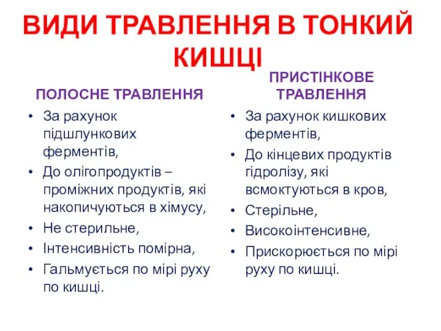 ВИДИ ТРАВЛЕННЯ В ТОНКИЙ КИШЦІ ПОЛОСНЕ ТРАВЛЕННЯ За рахунок підшлункових ферментів,