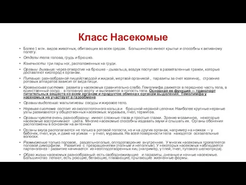 Класс Насекомые Более 1 млн. видов животных, обитающих во всех средах.