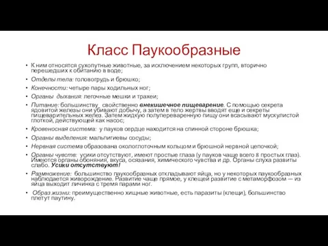 Класс Паукообразные К ним относятся сухопутные животные, за исключением некоторых групп,