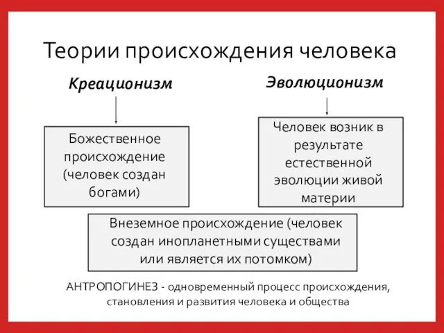 Теории происхождения человека Креационизм Эволюционизм Божественное происхождение (человек создан богами) Человек