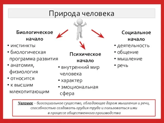 Природа человека Биологическое начало инстинкты биологическая программа развития анатомия, физиология относится