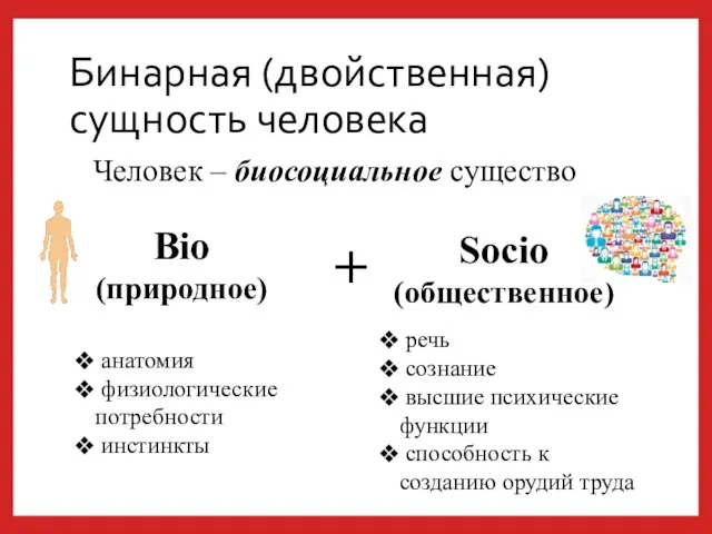 Бинарная (двойственная) сущность человека Bio (природное) Socio (общественное) речь сознание высшие