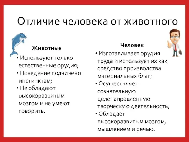 Отличие человека от животного Животные Человек Изготавливает орудия труда и использует