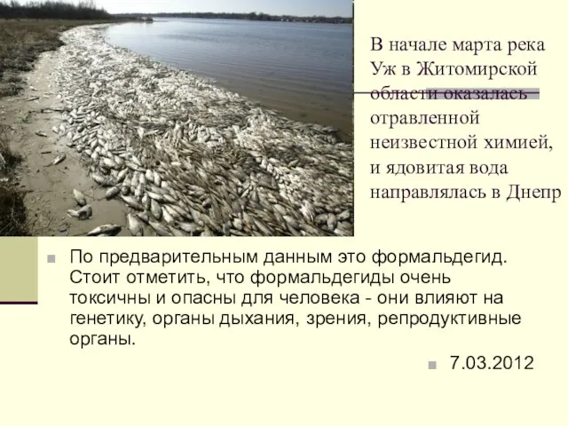 В начале марта река Уж в Житомирской области оказалась отравленной неизвестной