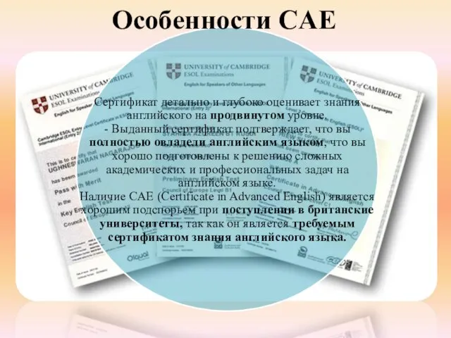 Особенности CAE