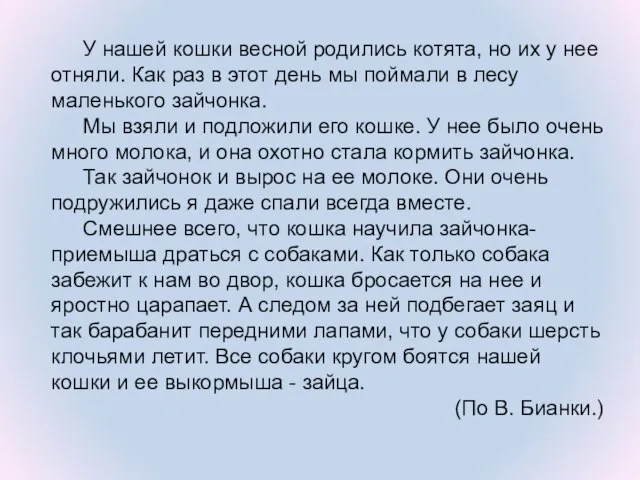 У нашей кошки весной родились котята, но их у нее отняли.