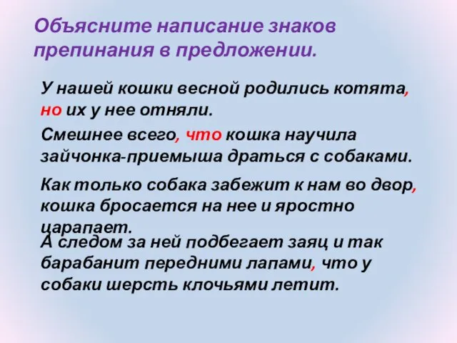 Объясните написание знаков препинания в предложении. У нашей кошки весной родились