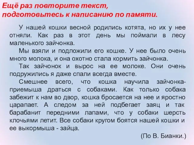 У нашей кошки весной родились котята, но их у нее отняли.