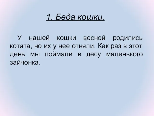 У нашей кошки весной родились котята, но их у нее отняли.