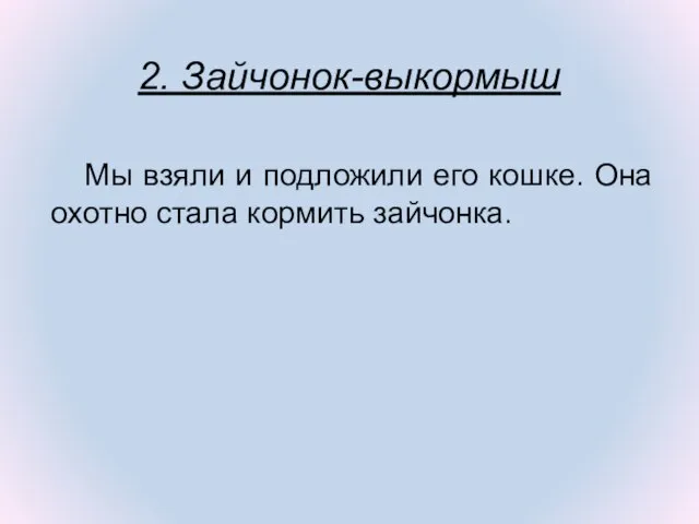 Мы взяли и подложили его кошке. Она охотно стала кормить зайчонка. 2. Зайчонок-выкормыш