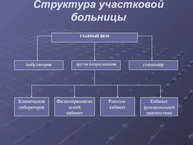 Структура участковой больницы