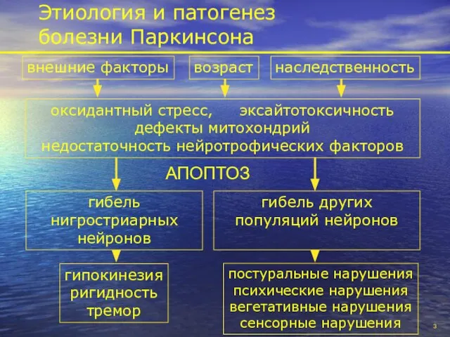 Этиология и патогенез болезни Паркинсона внешние факторы возраст наследственность оксидантный стресс,