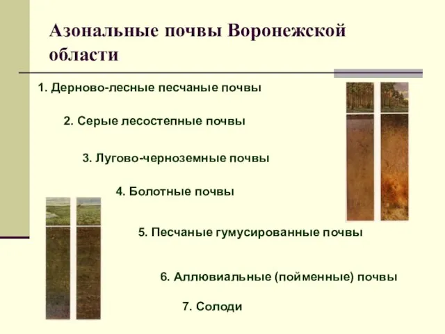 Азональные почвы Воронежской области 6. Аллювиальные (пойменные) почвы 5. Песчаные гумусированные