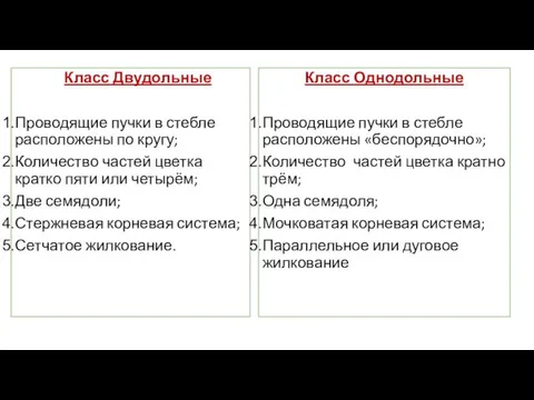 Класс Двудольные Проводящие пучки в стебле расположены по кругу; Количество частей