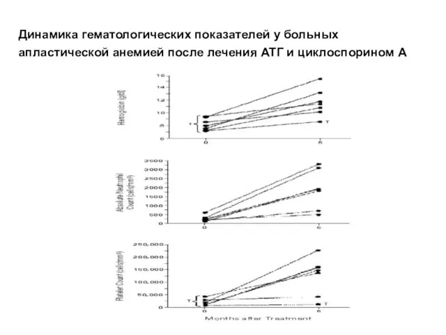 Динамика гематологических показателей у больных апластической анемией после лечения АТГ и циклоспорином А