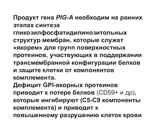 Продукт гена PIG-A необходим на ранних этапах синтеза гликозилфосфатидилинозитольных структур мембран,