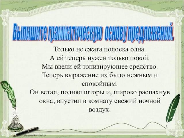 Выпишите грамматическую основу предложений. Только не сжата полоска одна. А ей