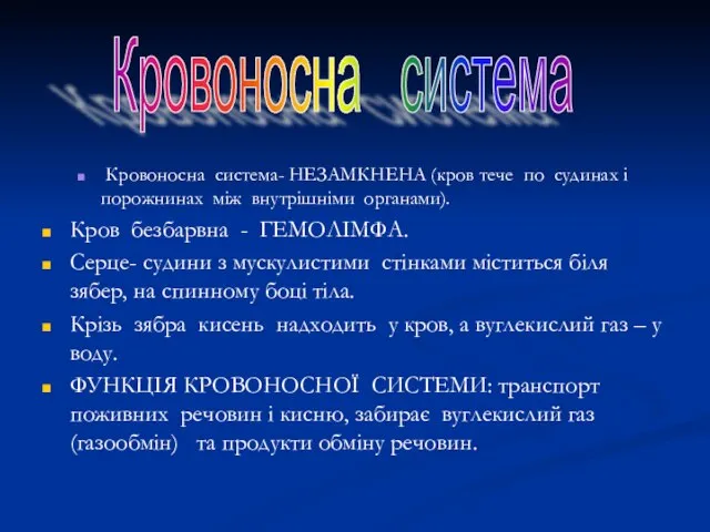 Кровоносна система- НЕЗАМКНЕНА (кров тече по судинах і порожнинах між внутрішніми