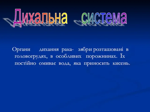 Органи дихання рака- зябри розташовані в головогрудях, в особливих порожнинах. Їх