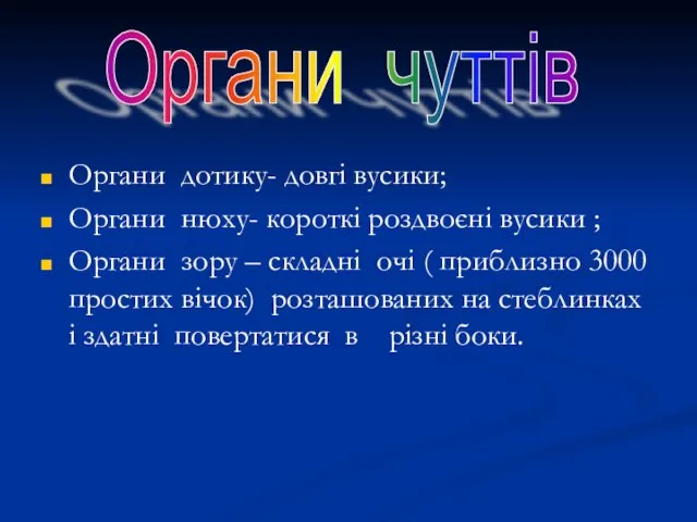 Органи дотику- довгі вусики; Органи нюху- короткі роздвоєні вусики ; Органи