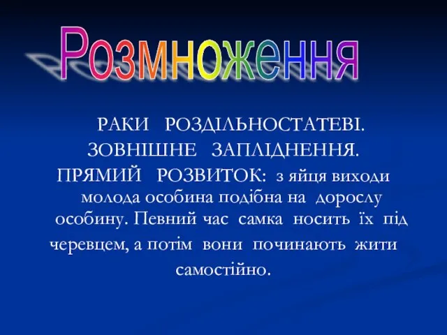 РАКИ РОЗДІЛЬНОСТАТЕВІ. ЗОВНІШНЕ ЗАПЛІДНЕННЯ. ПРЯМИЙ РОЗВИТОК: з яйця виходи молода особина