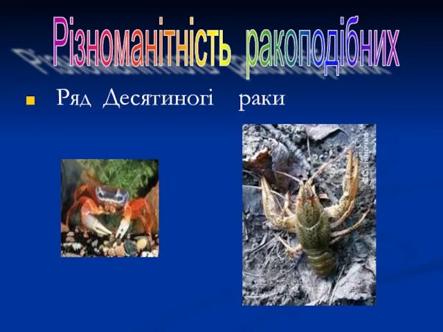 Ряд Десятиногі раки Різноманітність ракоподібних