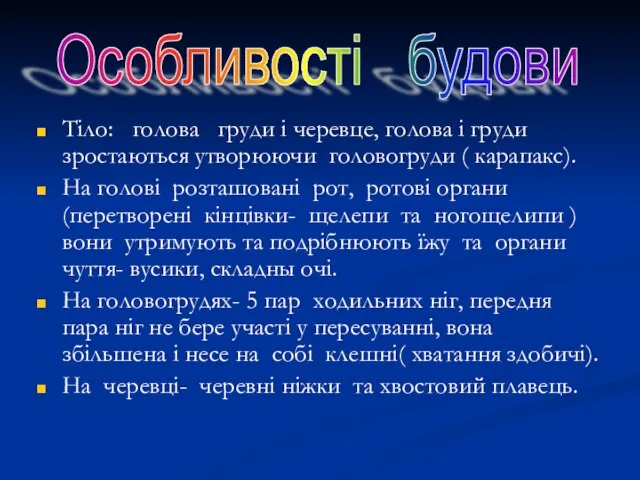 Тіло: голова груди і черевце, голова і груди зростаються утворюючи головогруди