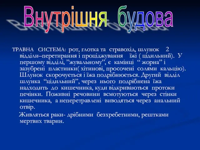 ТРАВНА СИСТЕМА: рот, глотка та стравохід, шлунок 2 відділи–перетирання і проціджування