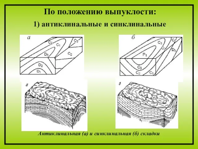 По положению выпуклости: 1) антиклинальные и синклинальные Антиклинальная (а) и синклинальная (б) складки