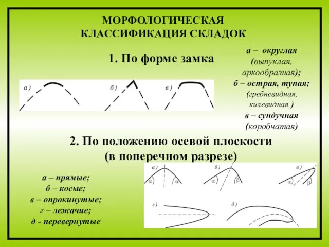 а – округлая (выпуклая, аркообразная); б – острая, тупая; (гребневидная, килевидная