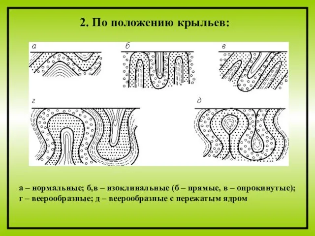 2. По положению крыльев: а – нормальные; б,в – изоклинальные (б