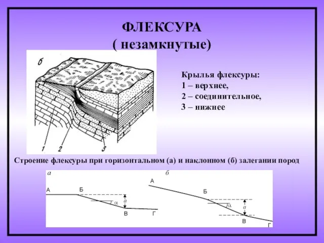 ФЛЕКСУРА ( незамкнутые) Крылья флексуры: 1 – верхнее, 2 – соединительное,