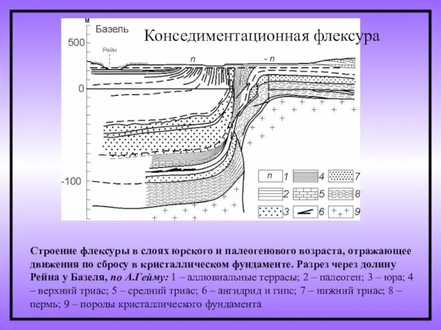 Строение флексуры в слоях юрского и палеогенового возраста, отражающее движения по