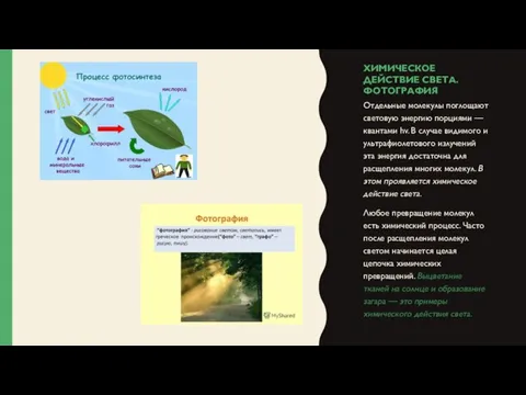 ХИМИЧЕСКОЕ ДЕЙСТВИЕ СВЕТА. ФОТОГРАФИЯ Отдельные молекулы поглощают световую энергию порциями —