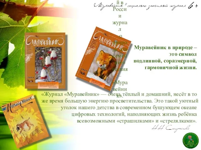 Муравейник в природе – это символ подлинной, соразмерной, гармоничной жизни. «Журнал