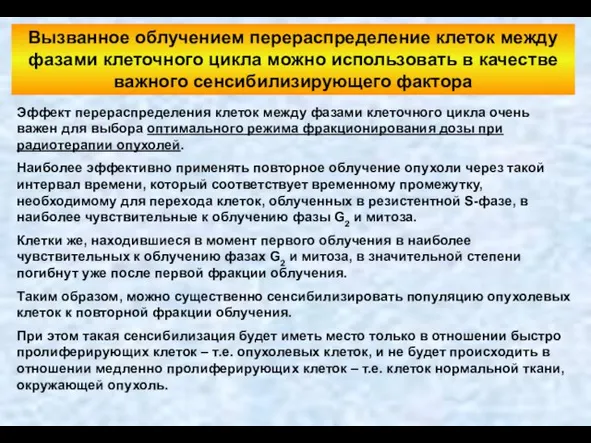 Вызванное облучением перераспределение клеток между фазами клеточного цикла можно использовать в