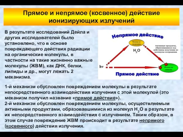 Прямое и непрямое (косвенное) действие ионизирующих излучений В результате исследований Дейла