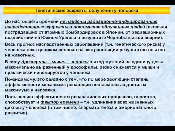 Генетические эффекты облучения у человека До настоящего времени не найдены радиационно-индуцированные