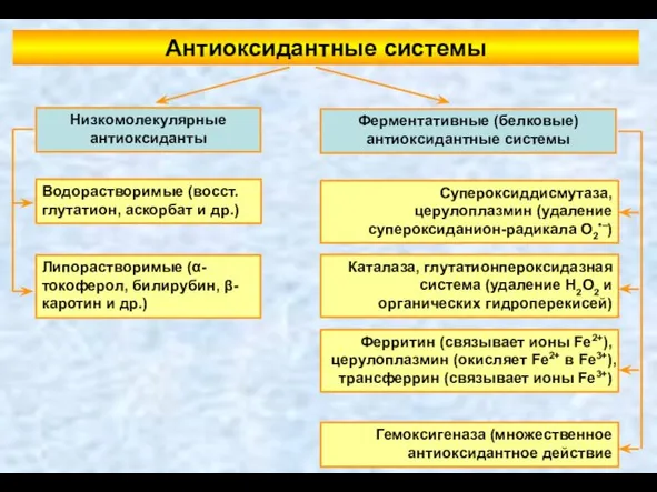 Антиоксидантные системы Ферментативные (белковые) антиоксидантные системы Низкомолекулярные антиоксиданты Водорастворимые (восст. глутатион,