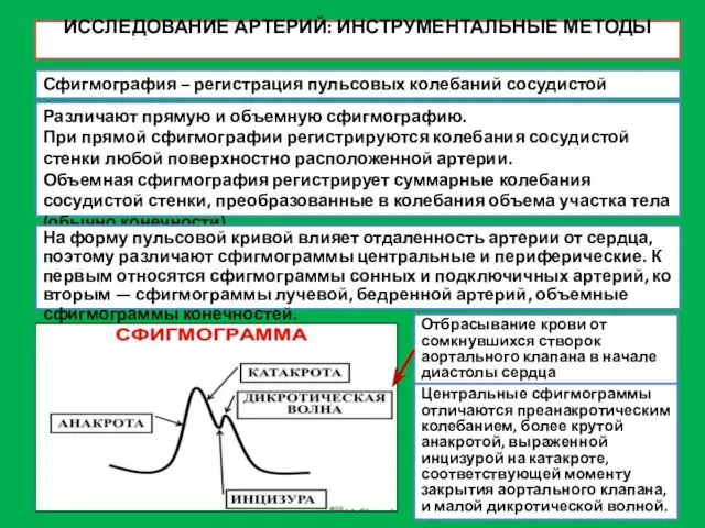 ИССЛЕДОВАНИЕ АРТЕРИЙ: ИНСТРУМЕНТАЛЬНЫЕ МЕТОДЫ Сфигмография – регистрация пульсовых колебаний сосудистой стенки.