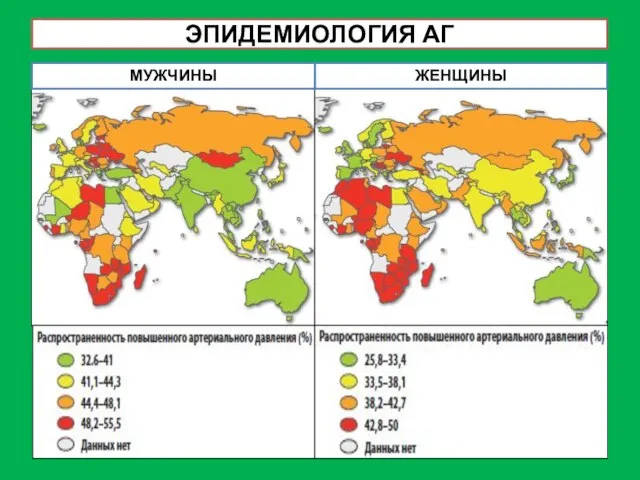 ЭПИДЕМИОЛОГИЯ АГ МУЖЧИНЫ ЖЕНЩИНЫ