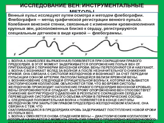 ИССЛЕДОВАНИЕ ВЕН: ИНСТРУМЕНТАЛЬНЫЕ МЕТОДЫ Венный пульс исследуют путем осмотра и методом