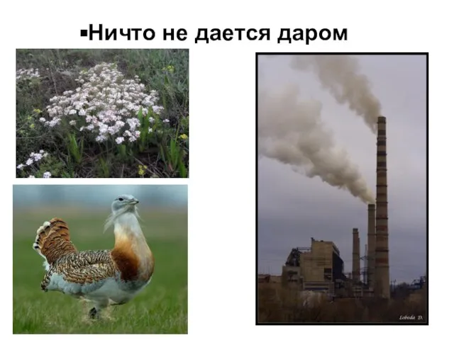 Ничто не дается даром