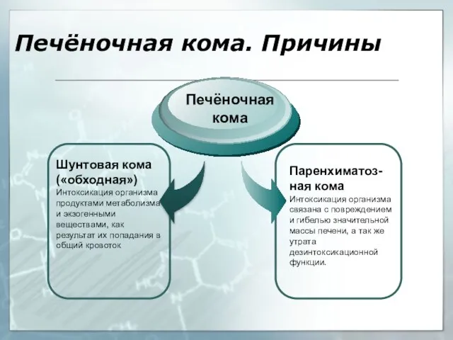 Печёночная кома. Причины Шунтовая кома («обходная») Интоксикация организма продуктами метаболизма и