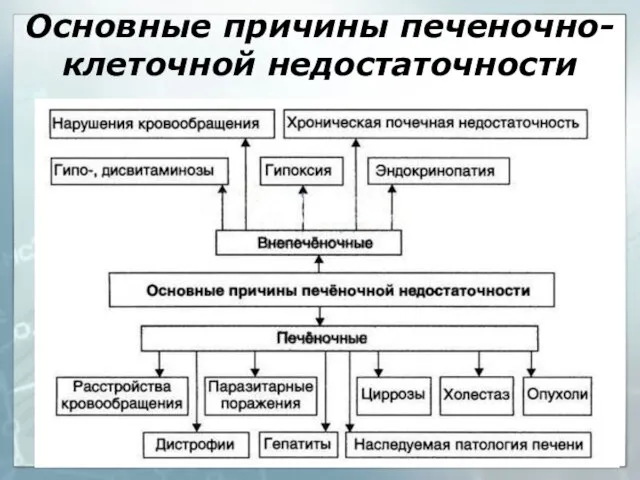 Основные причины печеночно-клеточной недостаточности