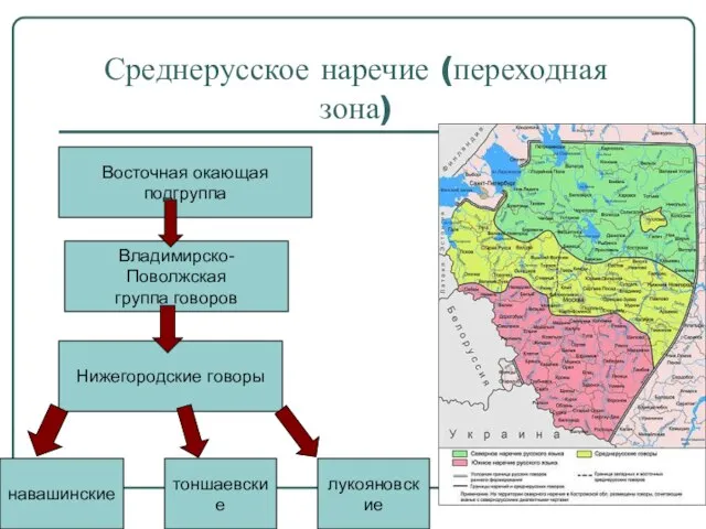 Среднерусское наречие (переходная зона) Восточная окающая подгруппа Владимирско-Поволжская группа говоров Нижегородские говоры навашинские тоншаевские лукояновские