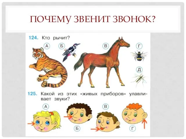 ПОЧЕМУ ЗВЕНИТ ЗВОНОК?